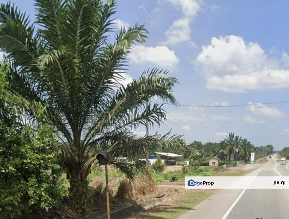 Labis Yong Peng Agriculture Land, Johor, Yong Peng