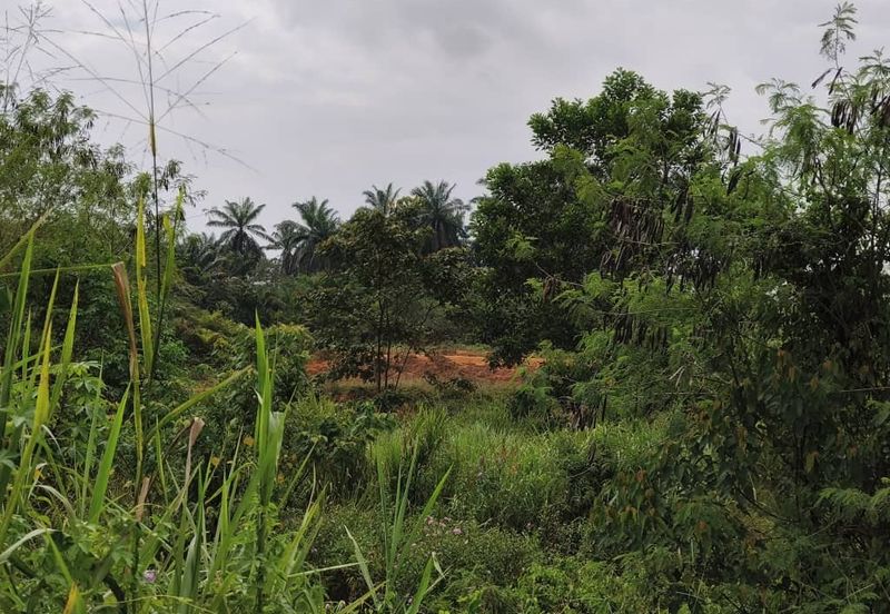 Scientex Bandar Kulai