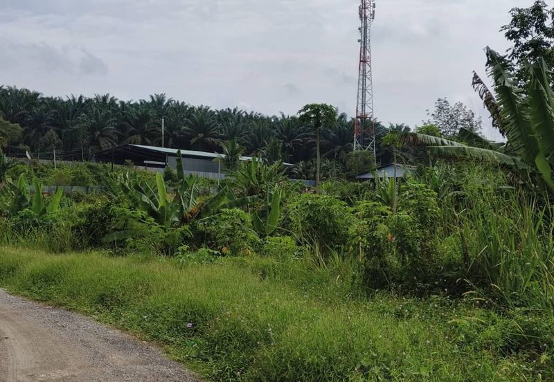 Scientex Bandar Kulai