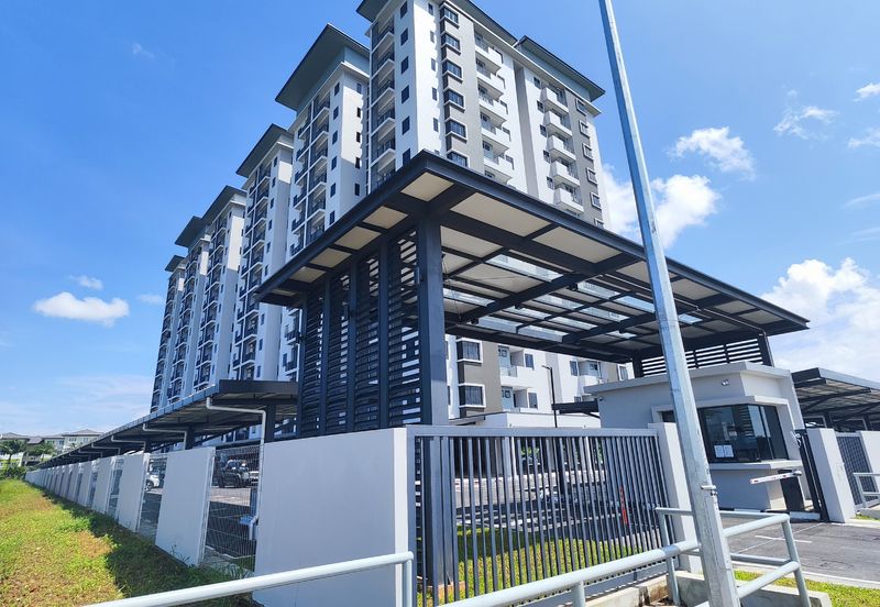 Gizo 11 Service Apartment