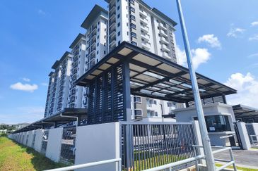 Gizo 11 Service Apartment