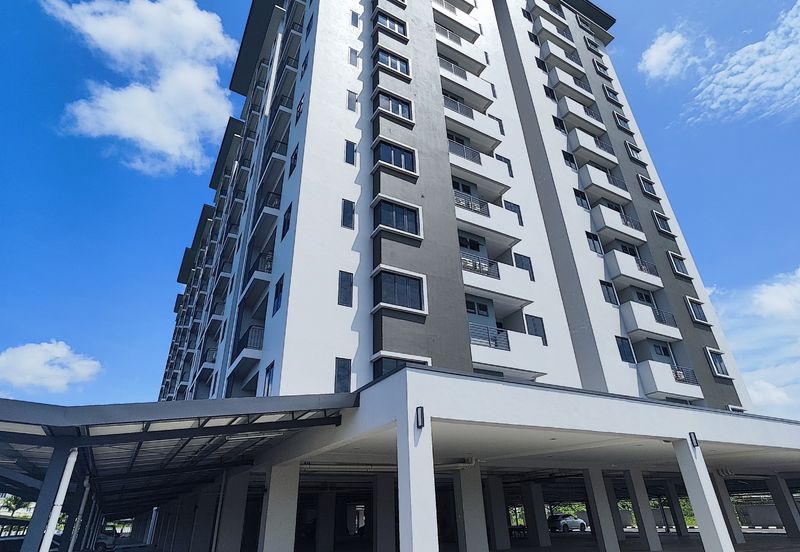 Gizo 11 Service Apartment