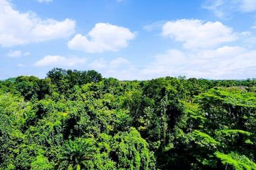 SkyVilla Condominium