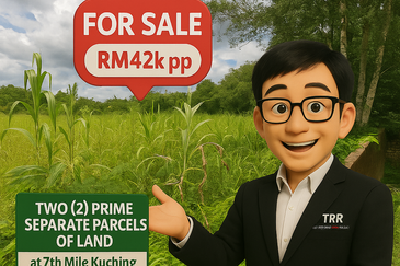 Two (2) prime separate parcels of land located on 7th Mile for Sale