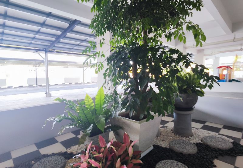 Gizo 11 Service Apartment