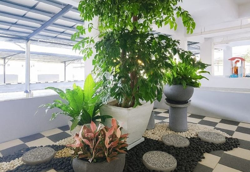 Gizo 11 Service Apartment