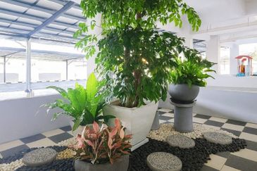 Gizo 11 Service Apartment