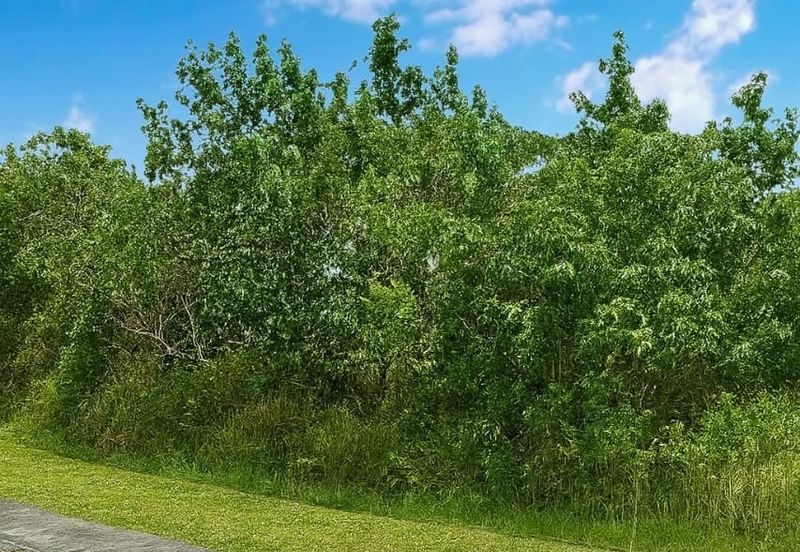 Demak Laut Industrial Park