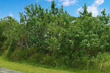 Demak Laut Industrial Park