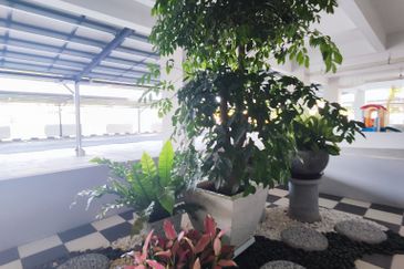 Gizo 11 Service Apartment