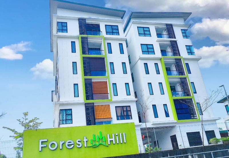 Forest Hill Apartment