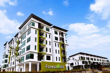 Forest Hill Apartment