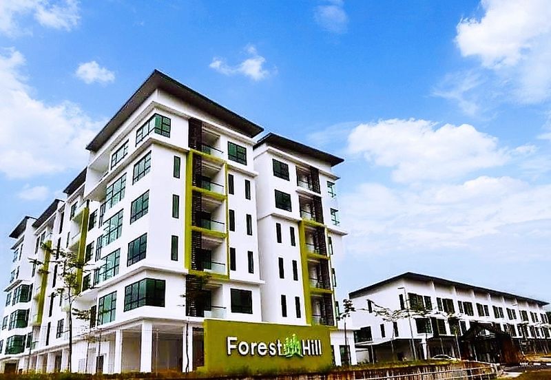 Forest Hill Apartment