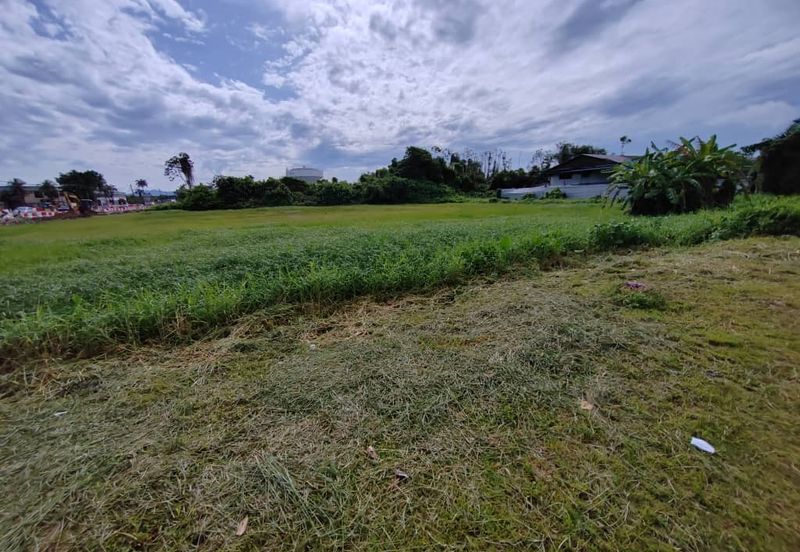 Rimba Terjun Pontian