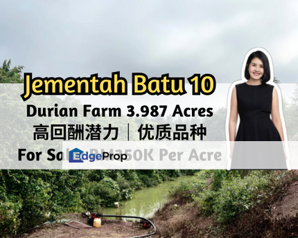 Jementah, Jementah, Johor, Jalan Muar Main Road, Jementah Batu 10, Durian Farm, 3.987 Acres, Johor, Jementah
