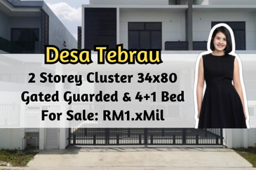 Plenitube Harp @ Taman Desa Tebrau