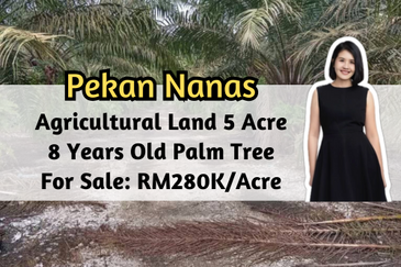 Pekan Nanas