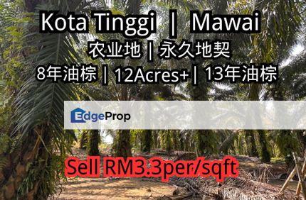 Jalan Kota Tinggi, Ulu Tiram, Johor, Kota Tinggi, Mawai, 12 Arces, Asking Price Rm3.3 per / sqft, Johor, Ulu Tiram
