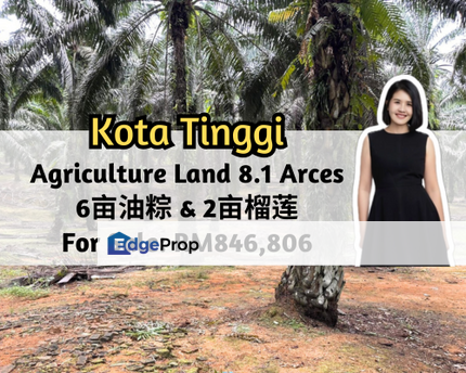 Jalan Kota Tinggi, Ulu Tiram, Johor, Kota Tinggi, Mawai, 8.1 Arces, Asking Price Rm2.4 per / sqft, Johor, Ulu Tiram