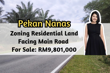 Taman Sri Pekan Nanas