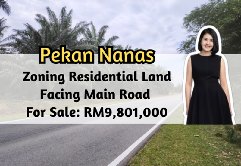 Taman Sri Pekan Nanas