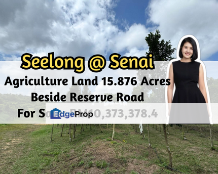 Seelong, Senai, Johor, Agriculture Land, 15.876 Acres, Beside Reserve Road, Johor, Senai