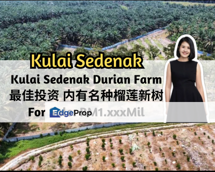 Sedenak, Kulai, Johor, Kulai Sedenak Durian Farm, Near Sedenak Toll & Sedenak Data Centre, Johor, Kulai