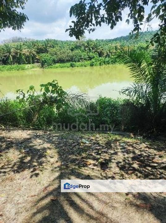 Banir Vacant Agricultural Land, Perak, Tapah