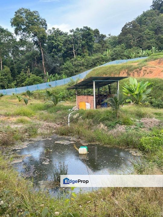 Tampin Tengah Dusun Land, Negeri Sembilan, Tampin