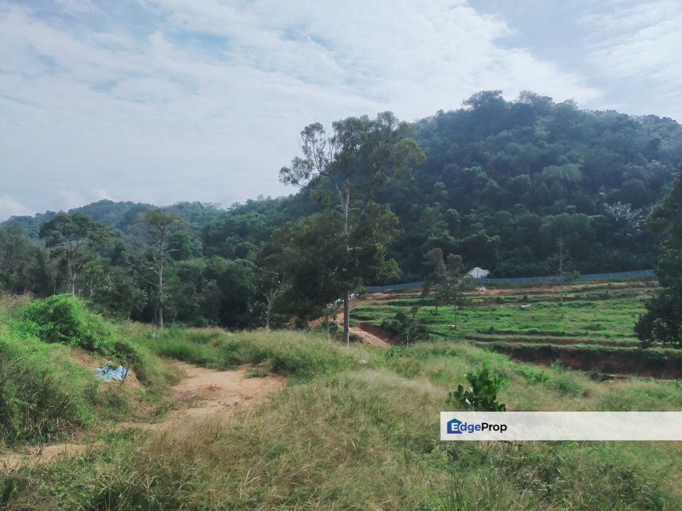 Tampin Tengah Dusun Land, Negeri Sembilan, Tampin