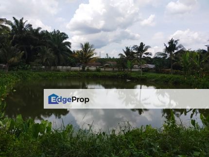 Sungai Gadut Agricultural Land With Swiftlet House @ Rantau, Negeri Sembilan, Seremban