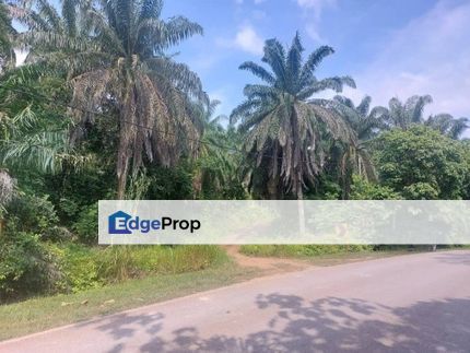 Maran Vacant Agricultural Land, Pahang, Maran Mengkarak