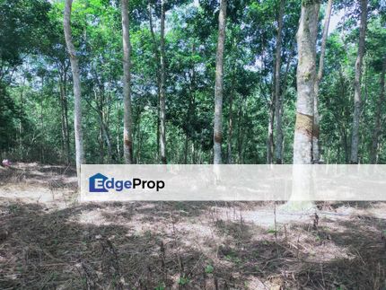Lenggong Rubber Land, Perak, Hulu Perak