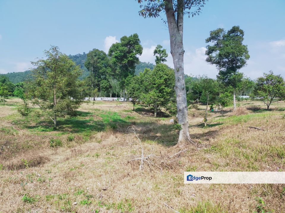 Karak Kampung Chinta Manis Durian Land, Pahang, Karak