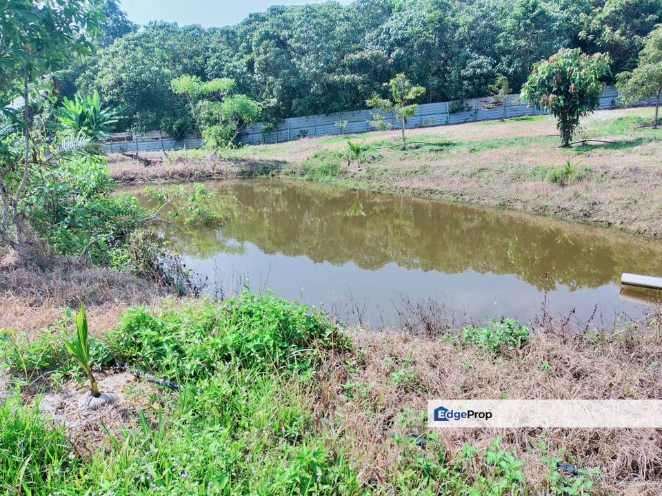 Karak Kampung Chinta Manis Durian Land, Pahang, Karak