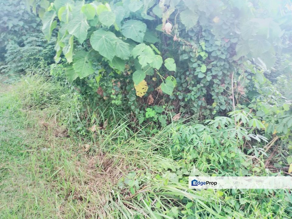 Simpang Ampat Tampin Vacant Land, Melaka, Alor Gajah