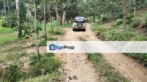 Bentong Sabai Vacant Land, Pahang, Bentong