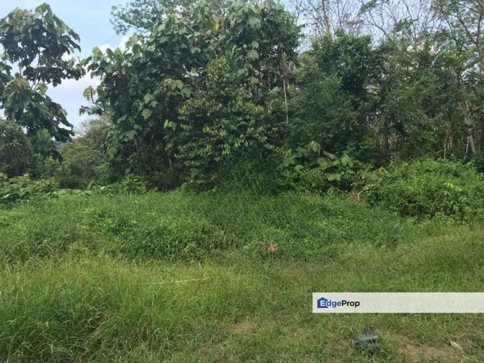 Slim River Vacant Agricultural Land, Perak, Hilir Perak