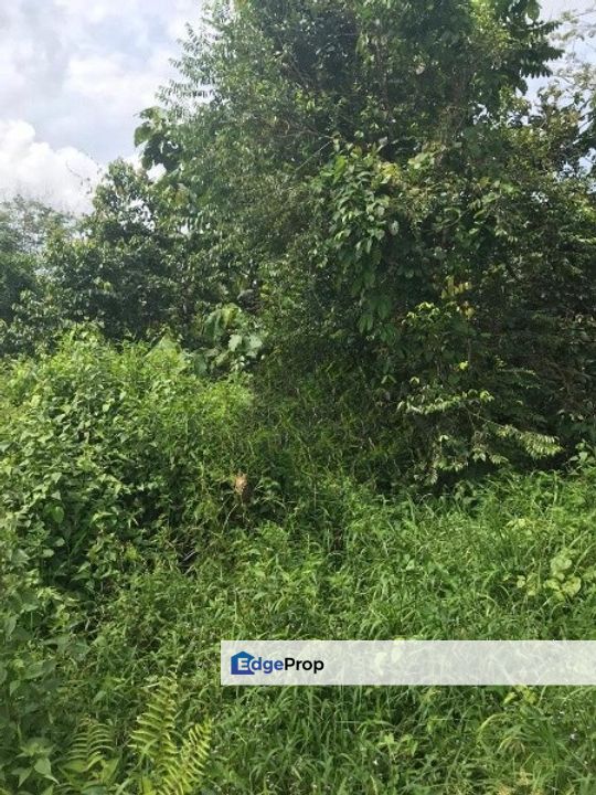 Slim River Vacant Agricultural Land, Perak, Hilir Perak
