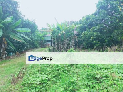 Bentong Bilut Agricultural Land, Pahang, Bentong