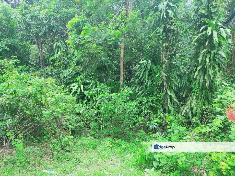 Bahau Vacant Agricultural Land, Negeri Sembilan, Jempol