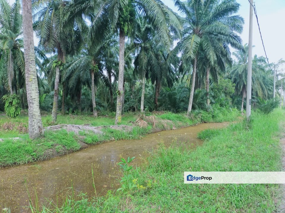 Bukit Badong Ijok Industrial Zoning Land, Selangor, Kuala Selangor