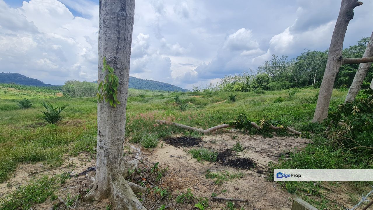 Jasin Selandar Vacant Land, Melaka, Jasin