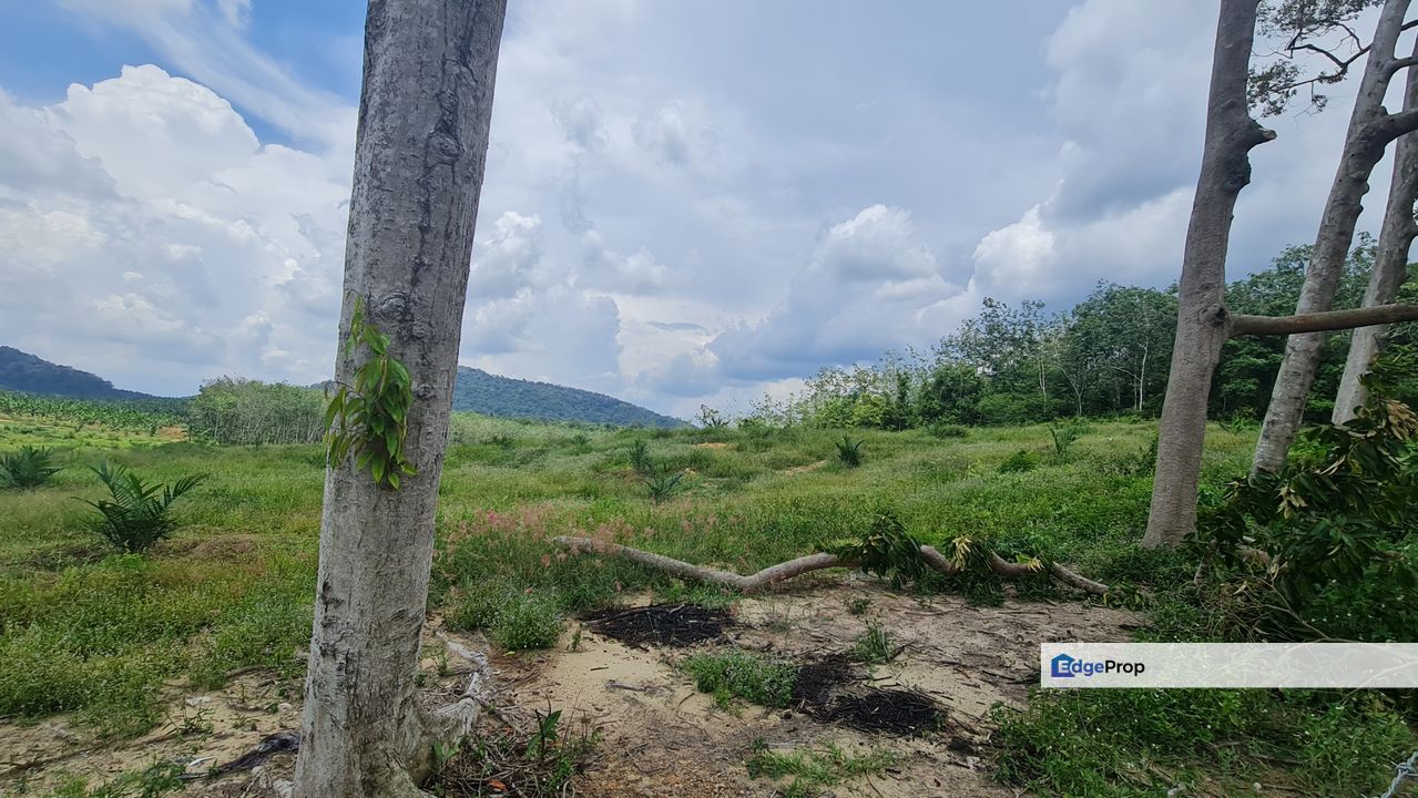 Jasin Selandar Vacant Land, Melaka, Jasin