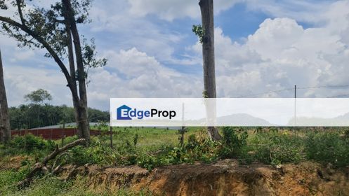 Jasin Selandar Vacant Land, Melaka, Jasin