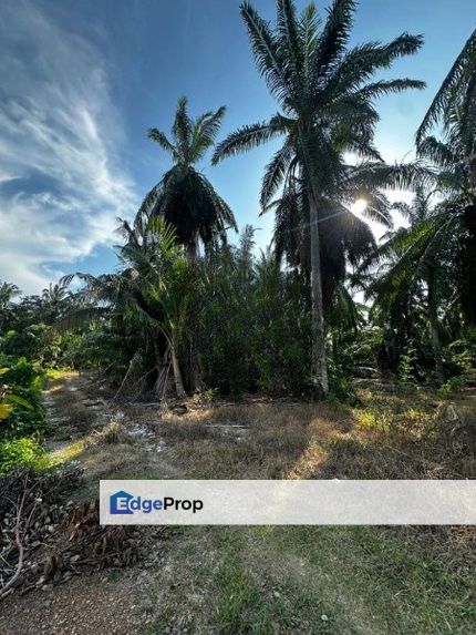Sungai Pelek Sepang Industrial Zoning Land, Selangor, Sepang
