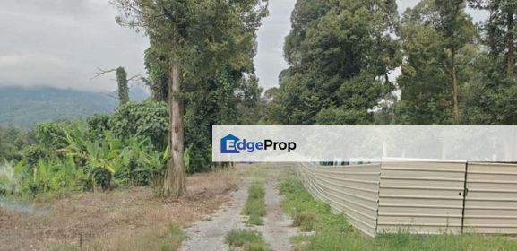 Bentong Sungai Batu Rubber Land, Pahang, Bentong