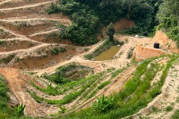 Durian Land @ Kuala Pilah 
