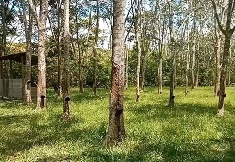 Tanah Getah @ Segamat