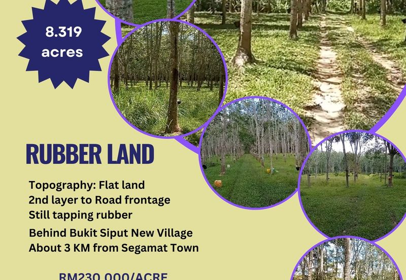 Tanah Getah @ Segamat